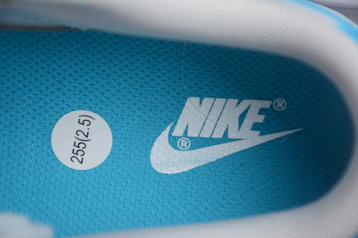 Dunk Low branco e azul celeste