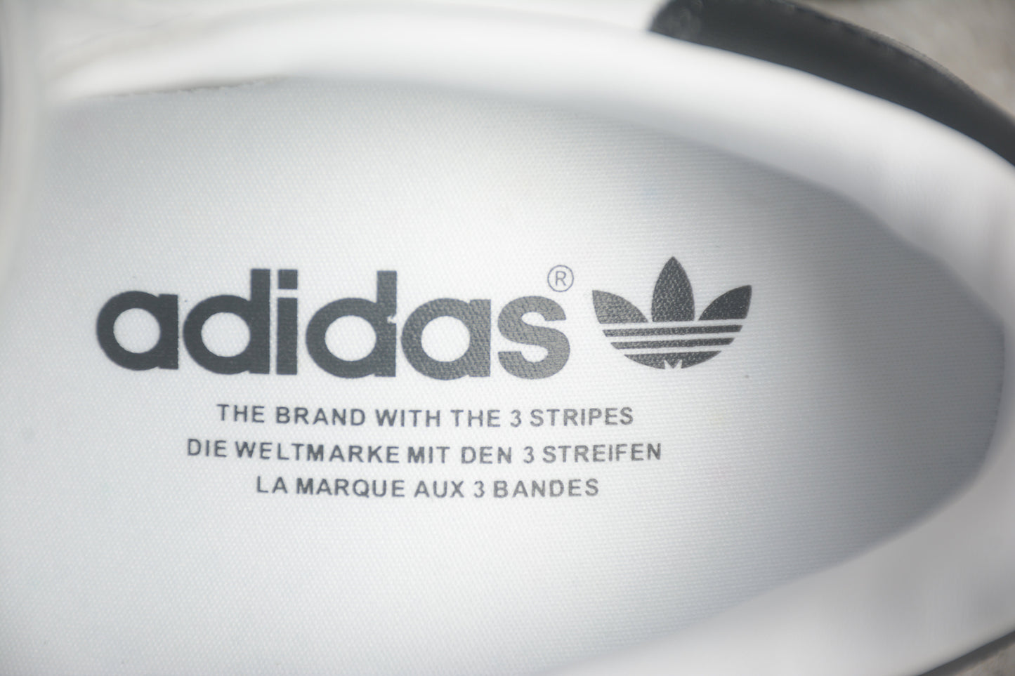 Gazelle branco e preto