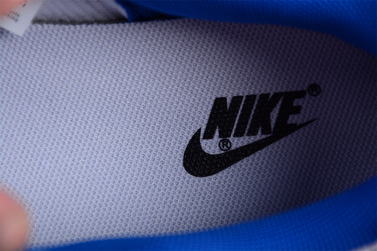 Dunk Low SB azul e branco