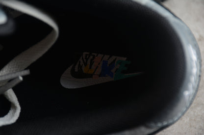 Dunk Low cinza e off-noir