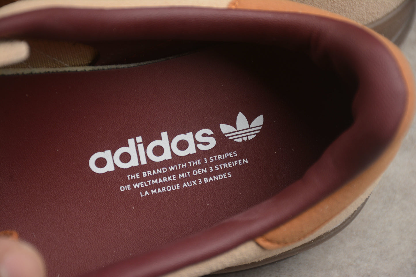 Gazelle bege e marrom