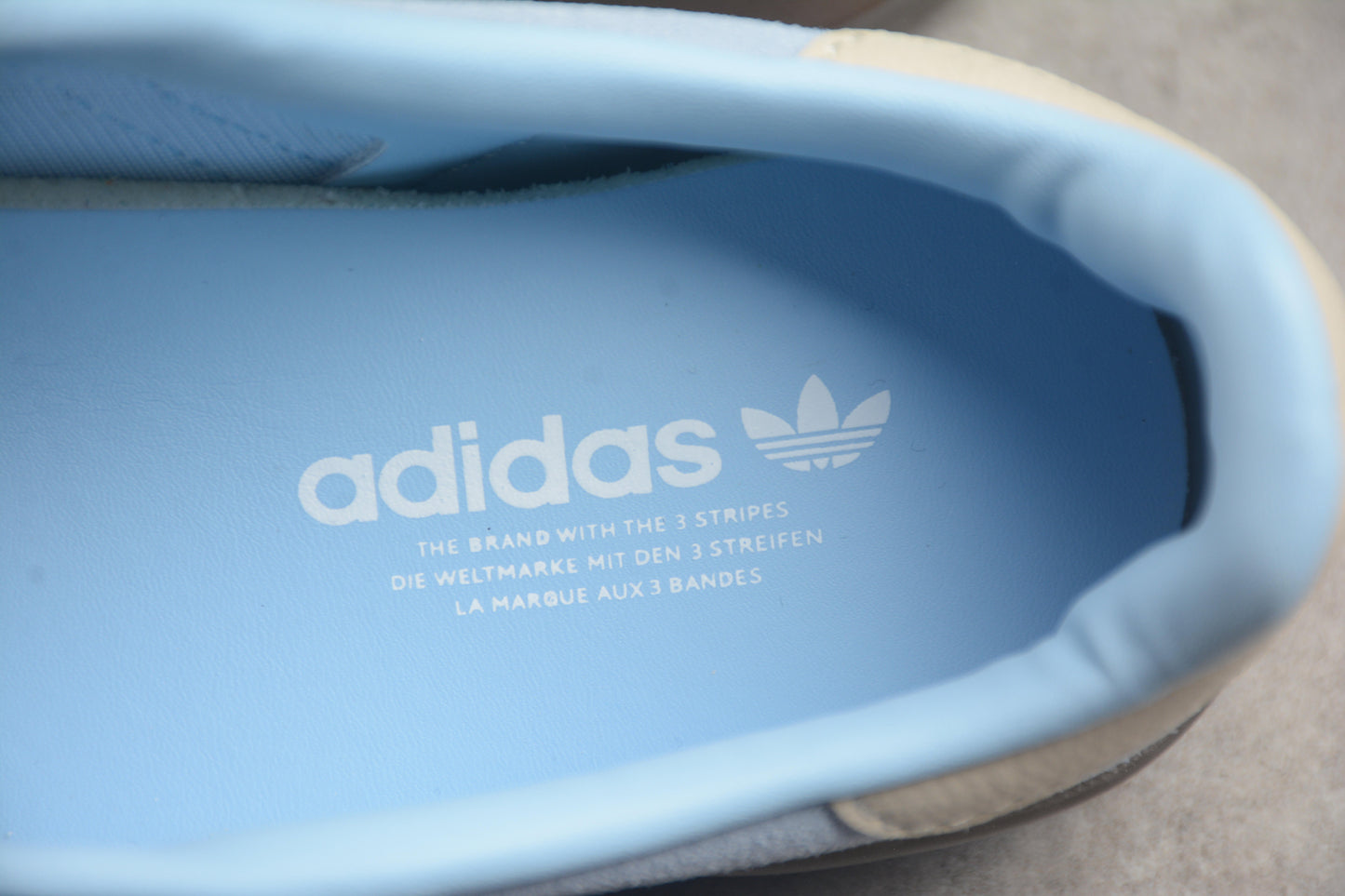 Gazelle azul-celeste e bege