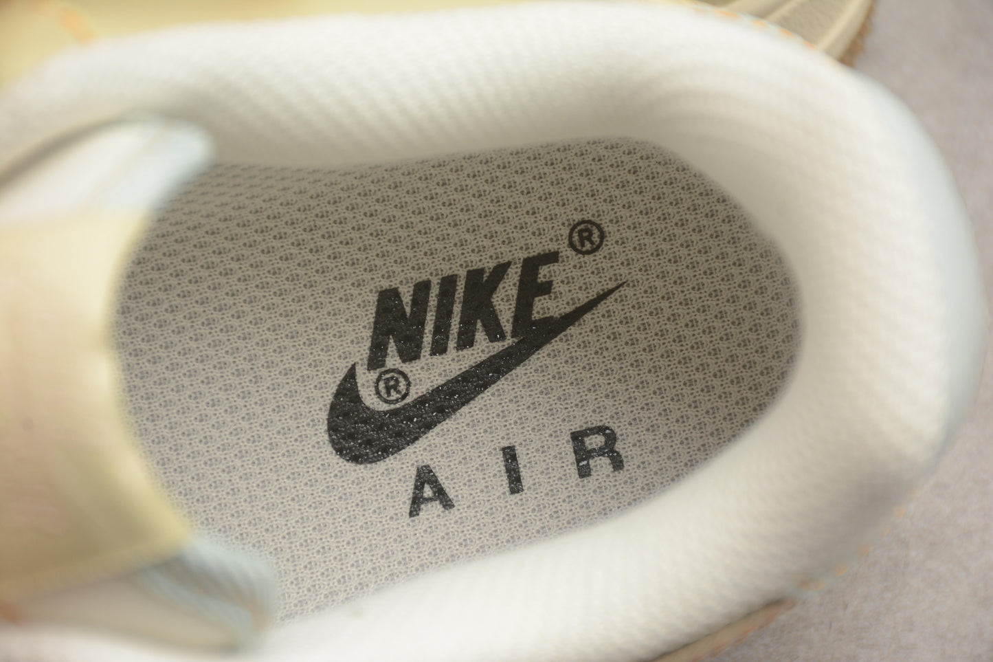 Air Force 1 Low “Garfield”